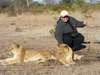 Nazlee Ally - on a lion walk at Vic Falls
